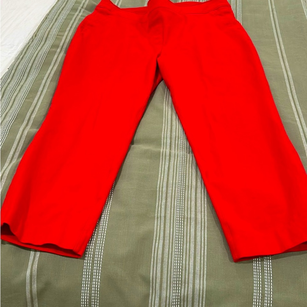 Spanx cropped pants petite large.